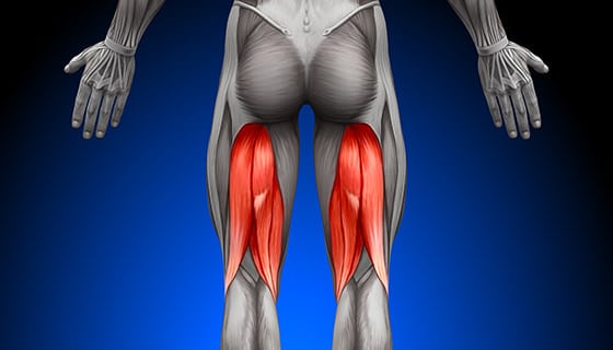 3 Causes of Hamstring Tightness