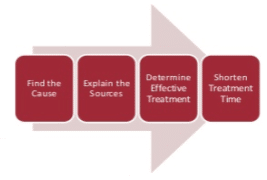 Selective Functional Movement Assessment