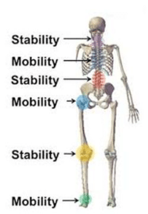 Selective Functional Movement Assessment