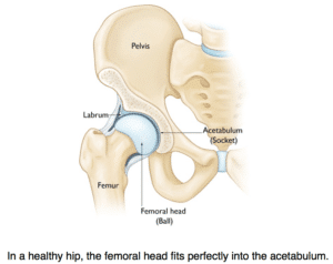 Hip Mobility