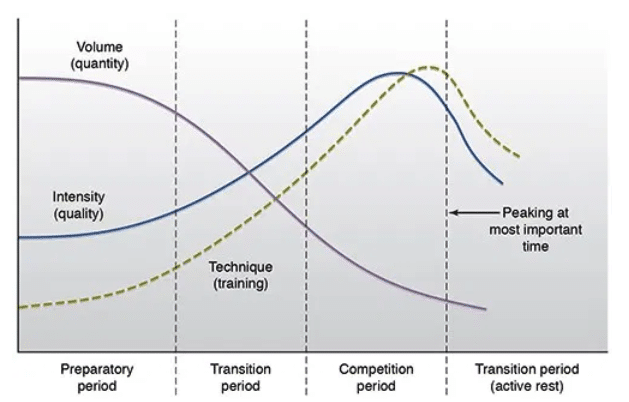 Periodization