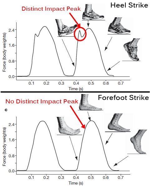 running assessment