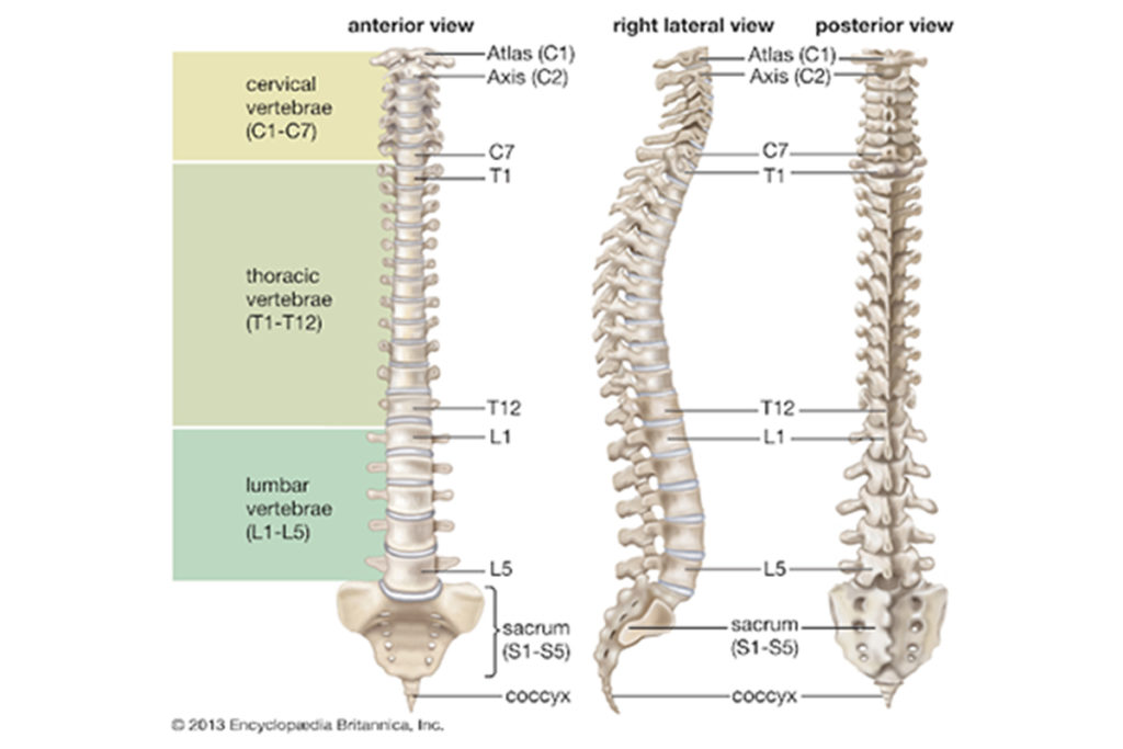 Lumbar radiculopathy sciatica symmetry pt miami