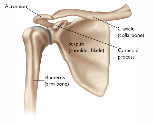 Shoulder pain diagram symmetry pt miami
